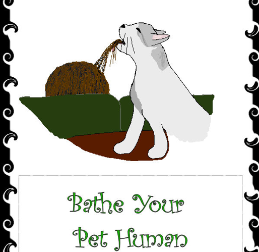 A full-color Hairball! card
